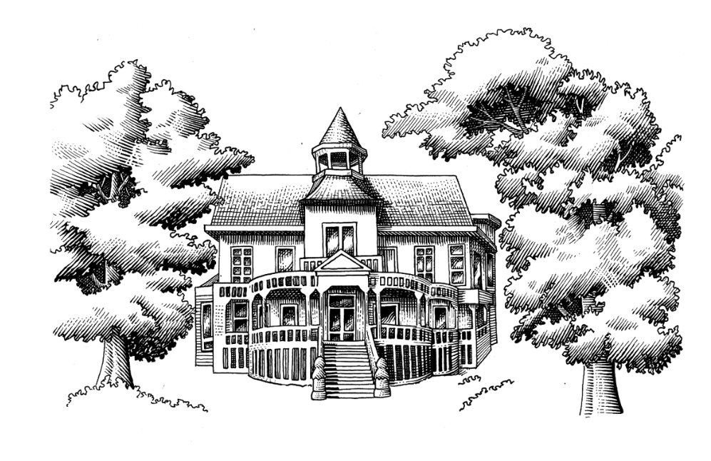 Historic drawing of the Majestic Magnolia